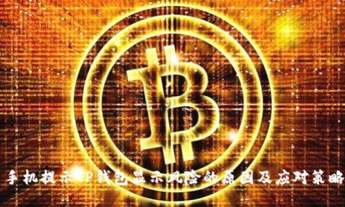 手机提示TP钱包显示风险的原因及应对策略