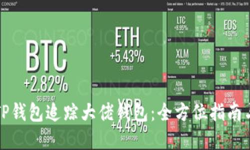 如何使用TP钱包追踪大佬钱包：全方位指南与实用技巧