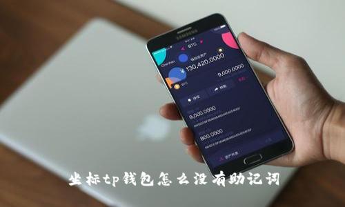 坐标tp钱包怎么没有助记词