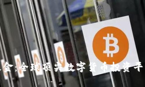 最大虚拟币基金：全球顶尖数字货币投资平台的全景分析